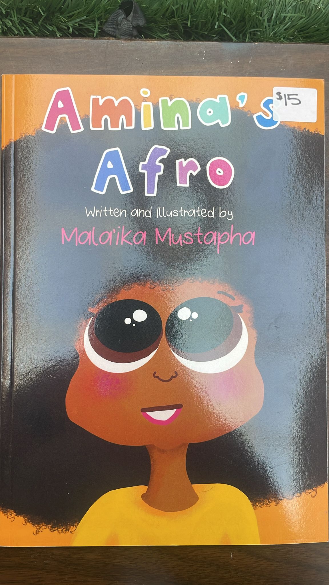 Amina’s Afro – A Story About a Girl Finding Inspiration to Do Her Hair