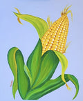 Corn